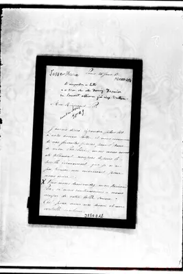 Fotogramma E 12
