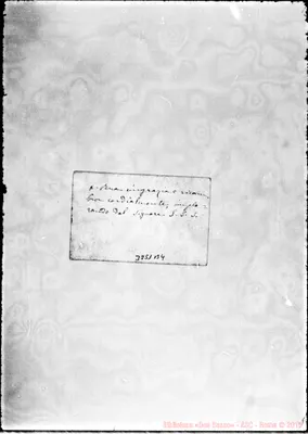 Fotogramma B 4