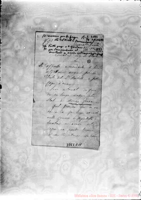 Fotogramma C 11