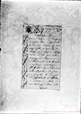 Fotogramma E 5