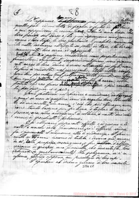 Fotogramma E 8