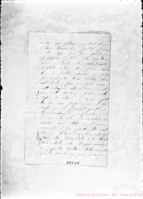Fotogramma D 11