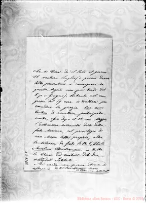 Fotogramma C 5