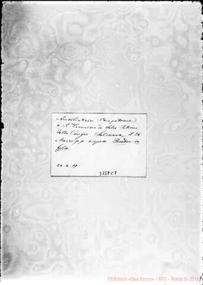 Fotogramma C 7