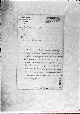 Fotogramma C 11