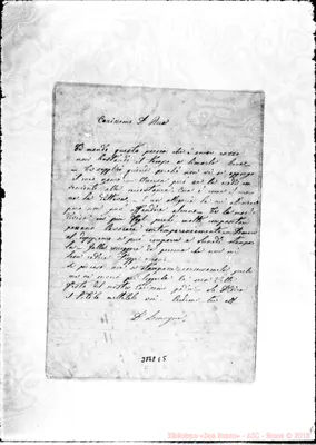 Fotogramma E 5