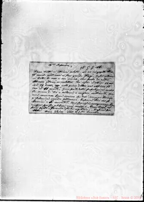 Fotogramma B 1