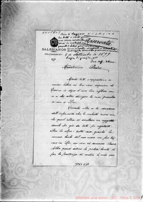 Fotogramma C 11