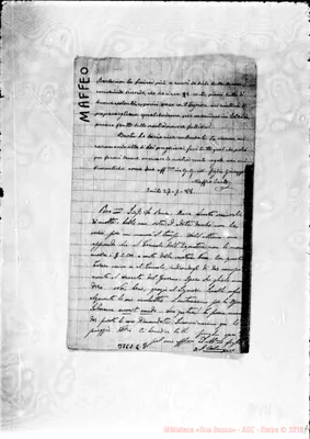 Fotogramma E 8
