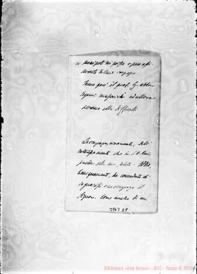 Fotogramma D 8
