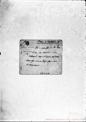 Fotogramma D 10