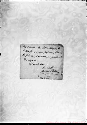 Fotogramma D 11