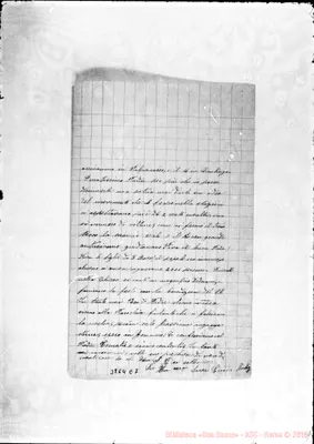 Fotogramma E 7
