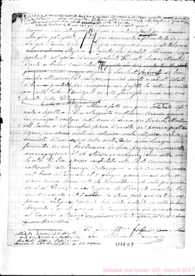 Fotogramma D 9