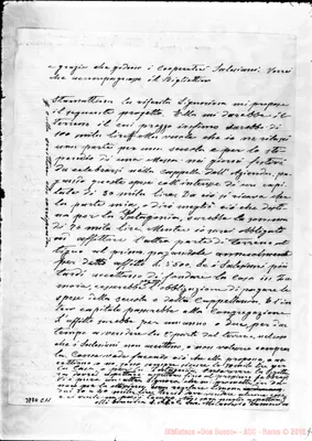 Fotogramma C 11