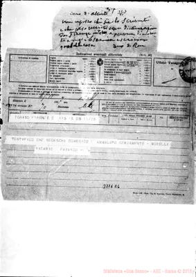 Fotogramma E 6