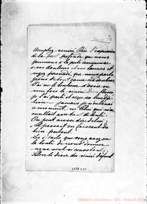Fotogramma C 11