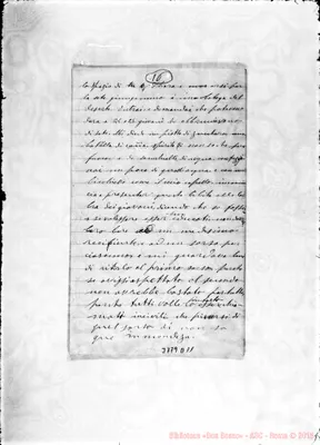 Fotogramma D 11