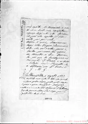 Fotogramma D 6