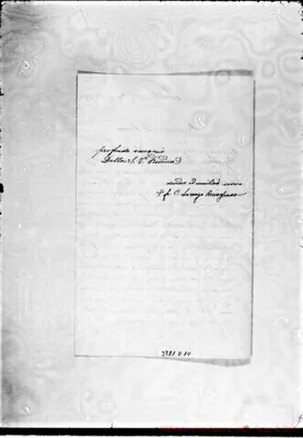 Fotogramma D 10