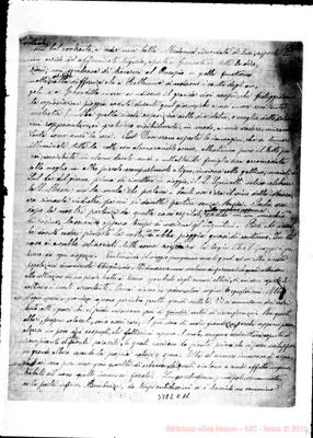 Fotogramma C 11