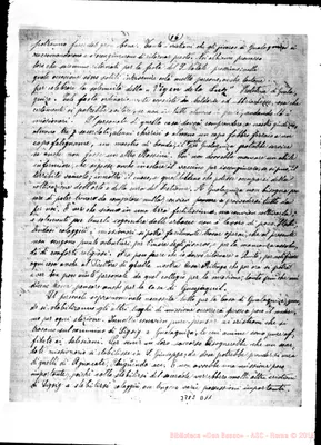 Fotogramma D 11