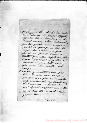 Fotogramma C 11