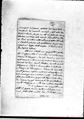 Fotogramma B 2