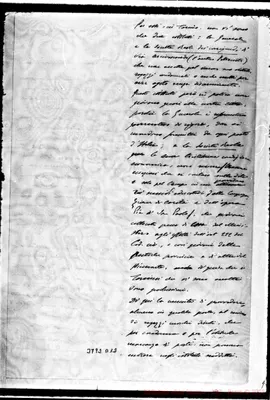Fotogramma D 12