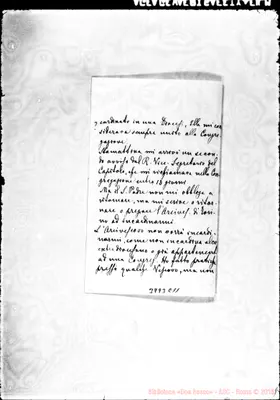 Fotogramma C 11