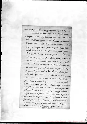 Fotogramma C 11