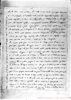 Fotogramma C 11