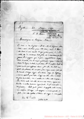 Fotogramma D 10