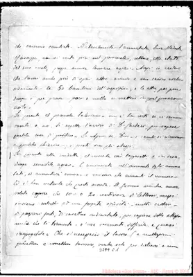 Fotogramma C 1