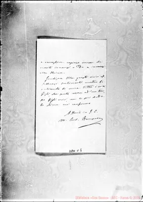 Fotogramma C 5