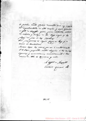 Fotogramma E 8