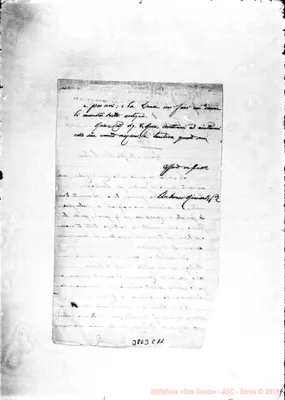 Fotogramma C 11