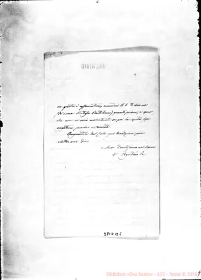 Fotogramma B 5