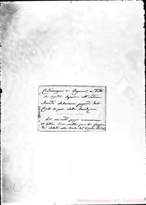 Fotogramma D 5