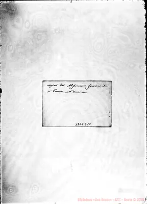 Fotogramma D 10