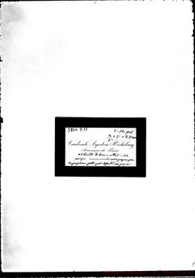 Fotogramma D 11