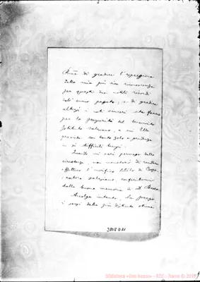 Fotogramma D 11