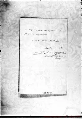 Fotogramma D 12