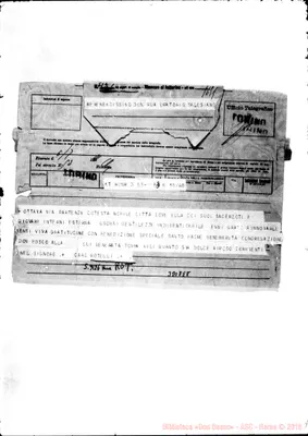 Fotogramma E 8