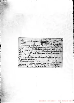 Fotogramma C 12