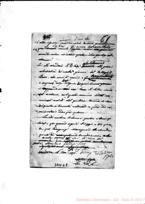 Fotogramma D 8