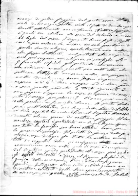 Fotogramma E 6