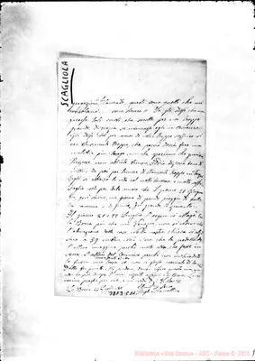 Fotogramma C 11