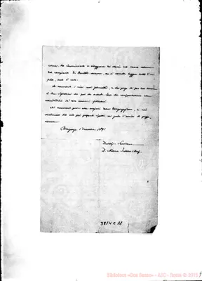 Fotogramma C 11
