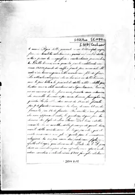 Fotogramma D 12